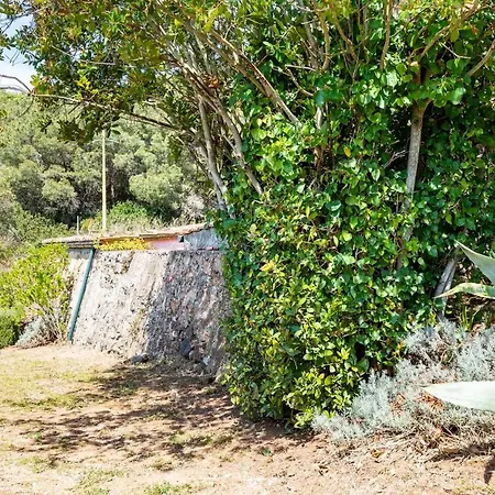 The Old Mill With Private Garden And Torrent *