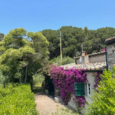 Willa The Old Mill With Private Garden And Torrent *