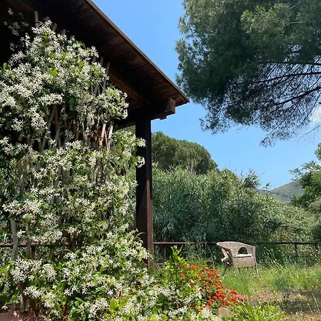 فيلة The Old Mill With Private Garden And Torrent *