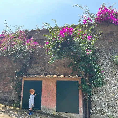 فيلة The Old Mill With Private Garden And Torrent